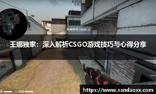 王娜独家：深入解析CSGO游戏技巧与心得分享