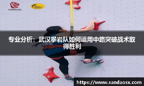 专业分析：武汉攀岩队如何运用中路突破战术取得胜利